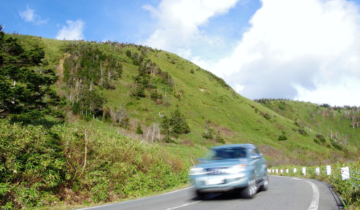 SUVってどんな車？定義やおすすめの車種、選び方を紹介