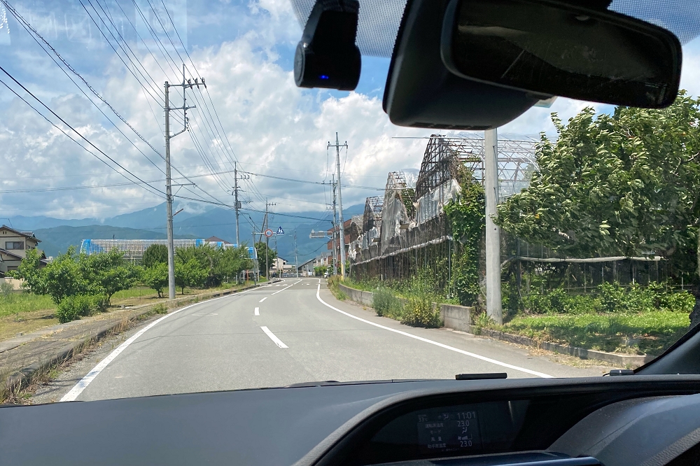 道路の両脇に並ぶさまざまなフルーツ畑