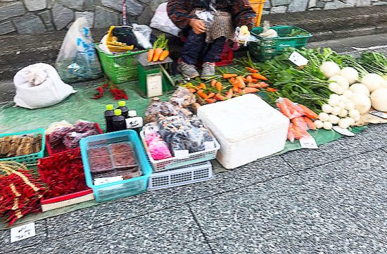 葉先まで立派な新鮮野菜がずらり。珍しい野菜も朝市ならでは