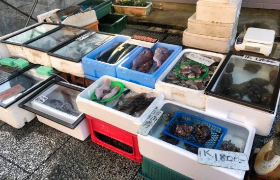 水揚げされたばかりの新鮮な魚介類