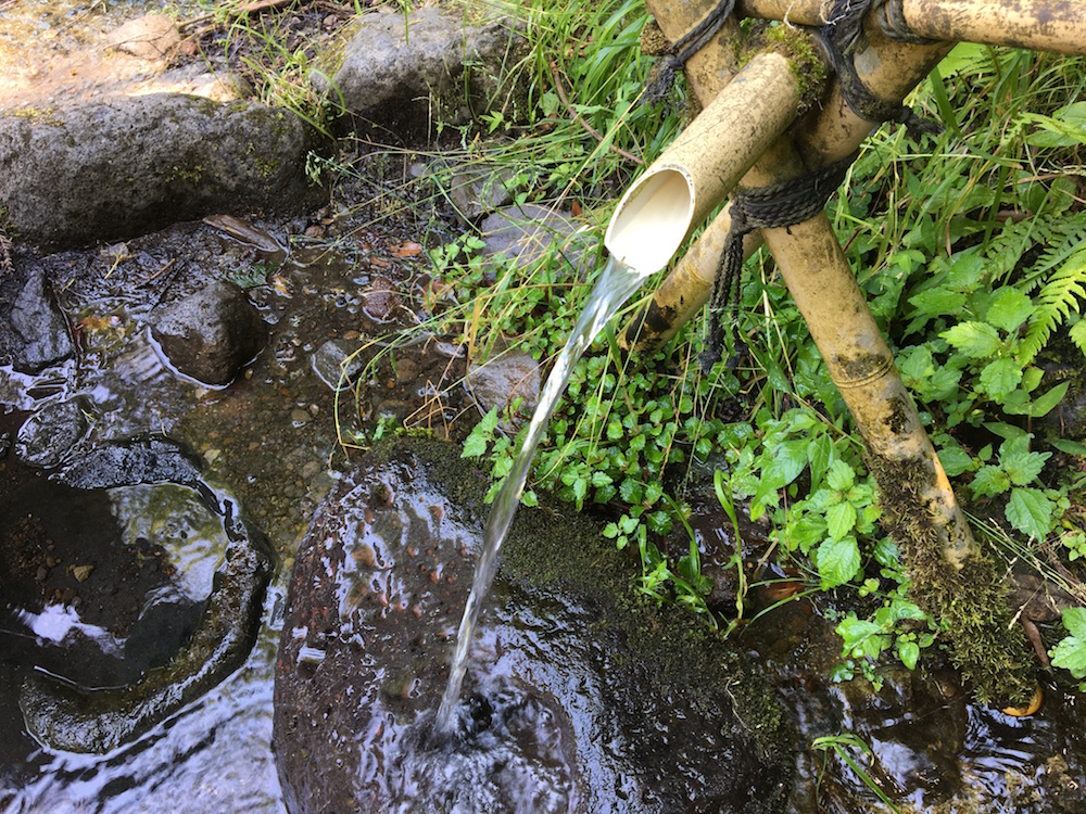 「金太郎の力水」と名付けられた水。浄化処理されているので飲むことができる