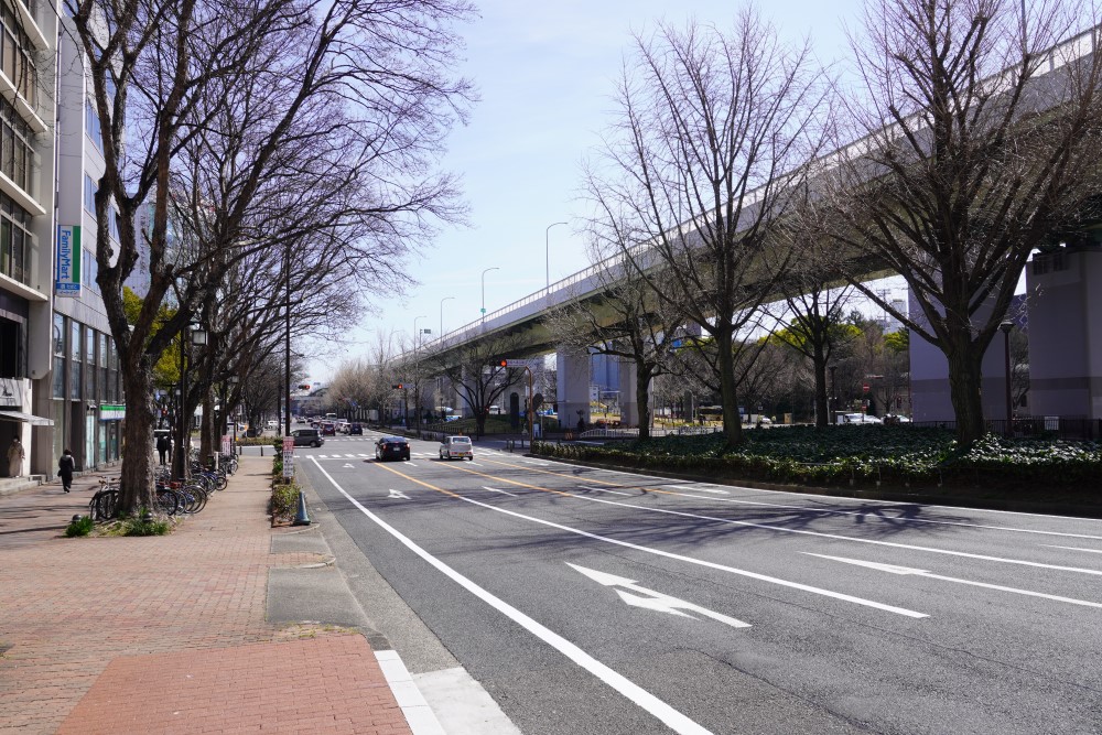 中央分離帯が公園として活用されている「100m道路」