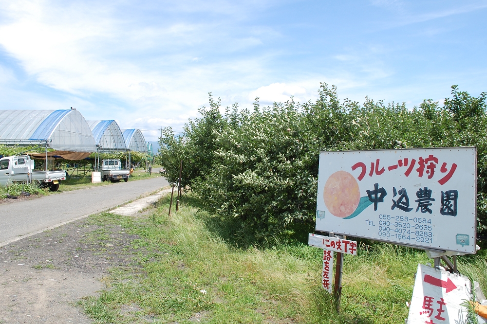 受付はフルーツ狩りを実施している場所によって変更するそう。掲示される看板に従って移動しよう
