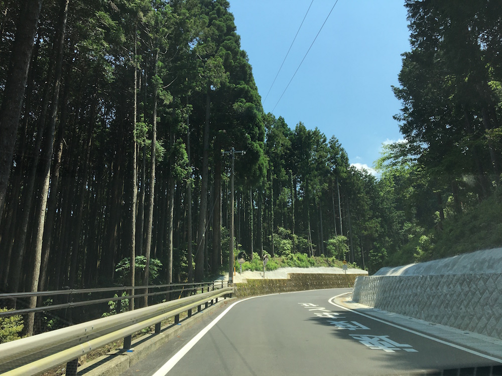 道幅は狭いところで約5m。カーブも続くのでスピードを落とし徐行運転