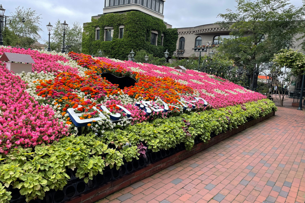 大きな花壇の真ん中から顔を出して撮影できる。至るところに「映えスポット」がある