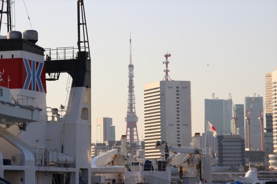 東京タワーが見えました