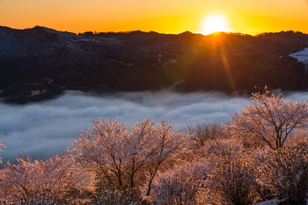 秩父の山々から上る日の出