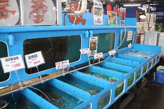 木更津の厚生水産は車海老の養殖、発祥の地。大きな車海老は「活き活き亭」の名物でもある