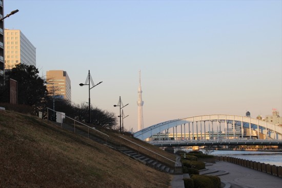 永代橋の先に見えるスカイツリー