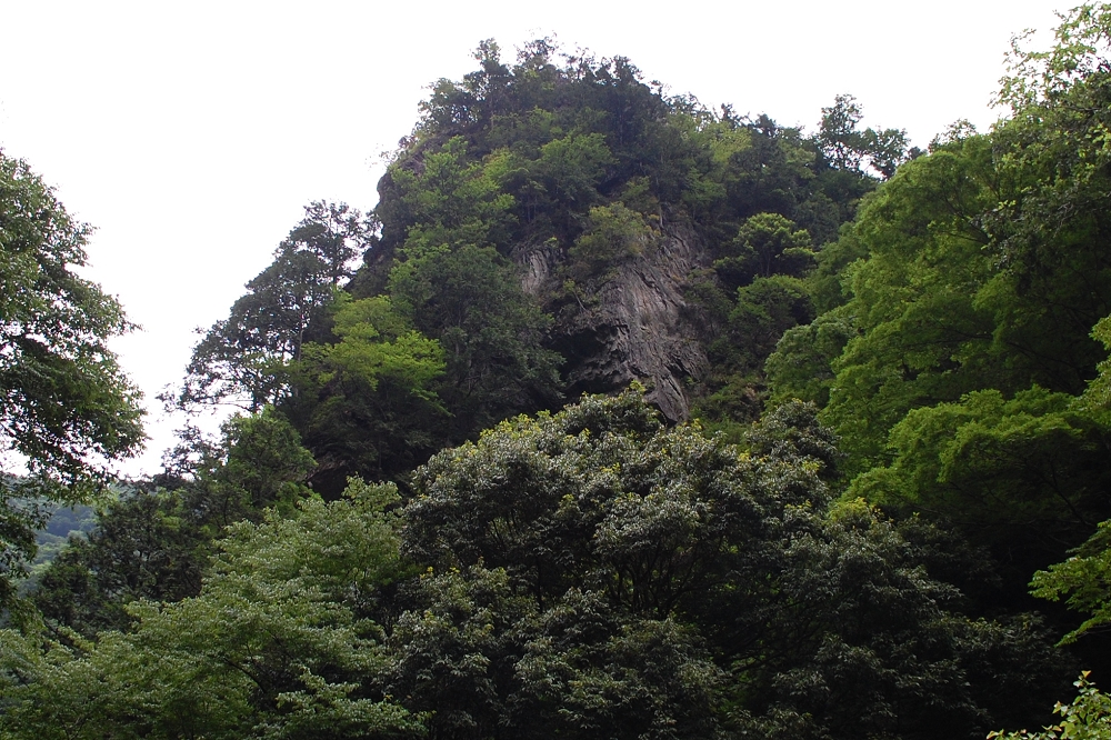 さまざまな緑に包まれた神戸岩。秋になると紅葉が彩る