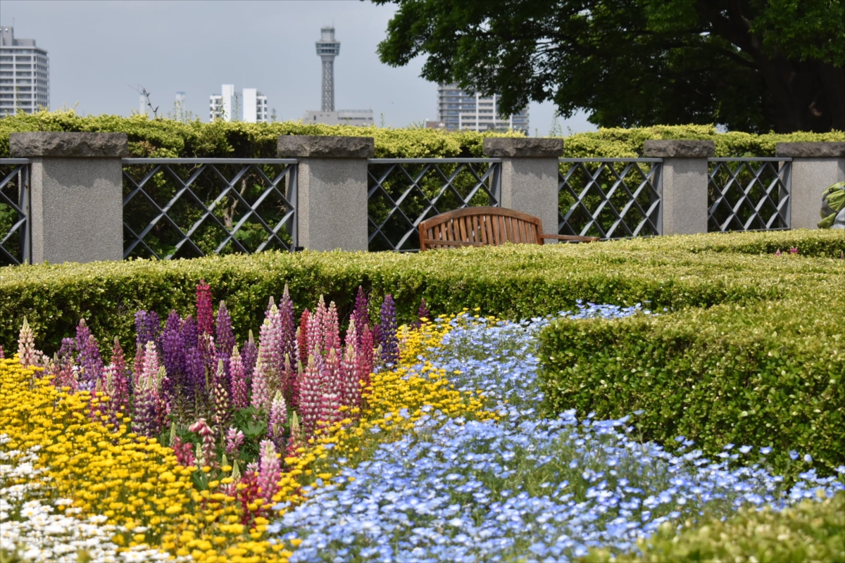 横浜マリンタワーの姿も見えた