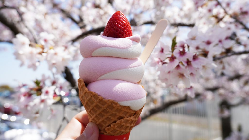 万博記念公園名物ソフトクリーム「万博ソフト (税込み550円)」