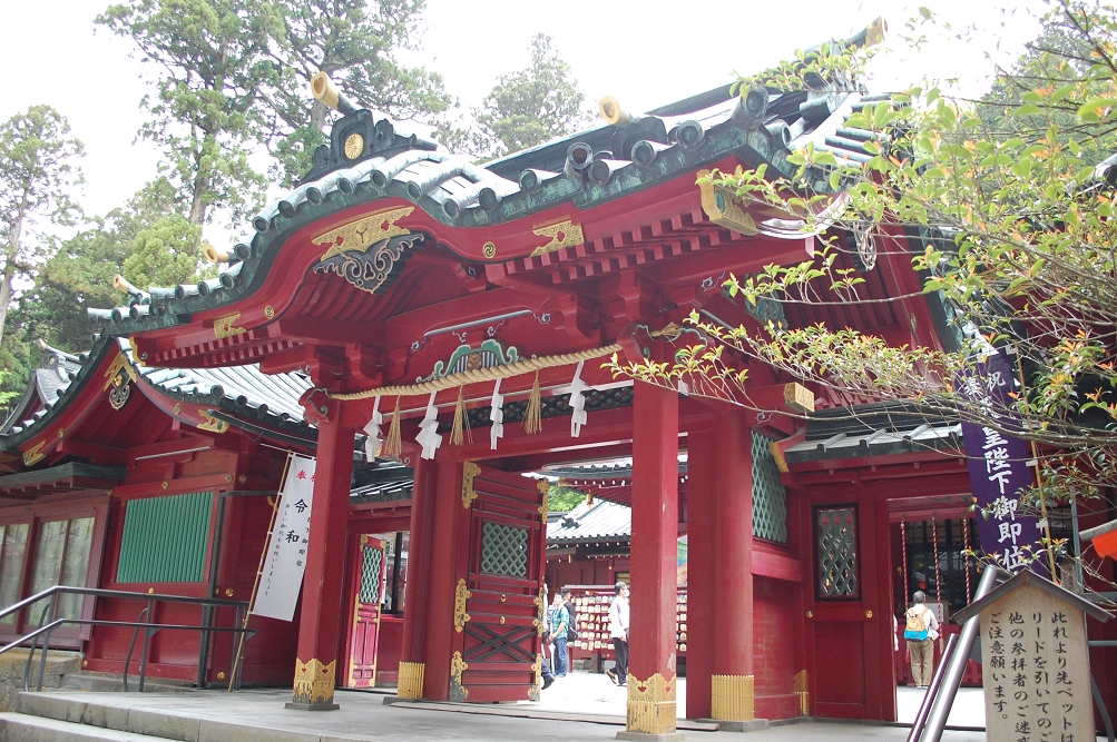 パワースポットとして人気の箱根神社。「物事を進める力」の運気が強く、停滞を打ち破る御利益を受けられるそう