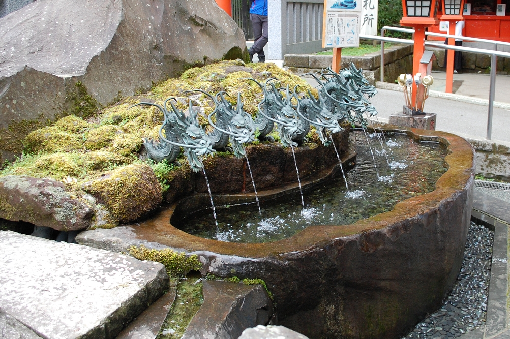 境内には九頭竜神社の新宮も建立されている