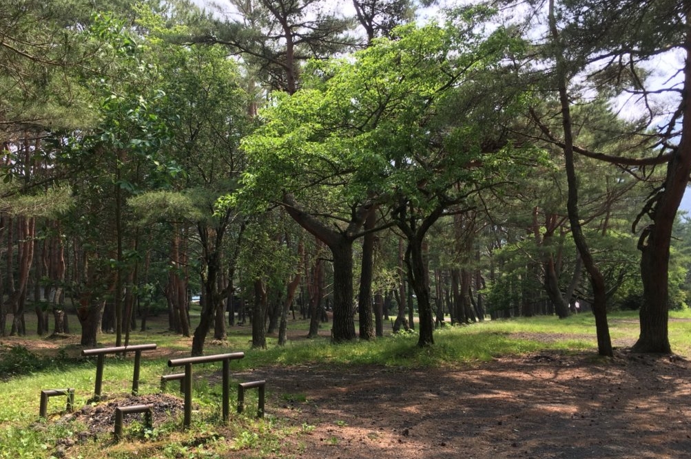 「西湖」、「本栖湖」の周辺には沢山のキャンプ場があり、オートキャンプやBBQを楽しめる