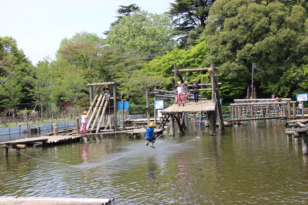 ちょっと間違えると水の中に落ちてしまうようなポイントも...！