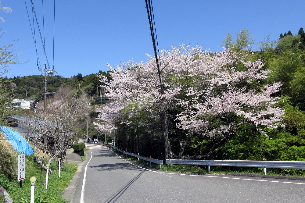 粟又の滝は駐車場を出て右方面。この後に向かう金竜の滝は左方向にある