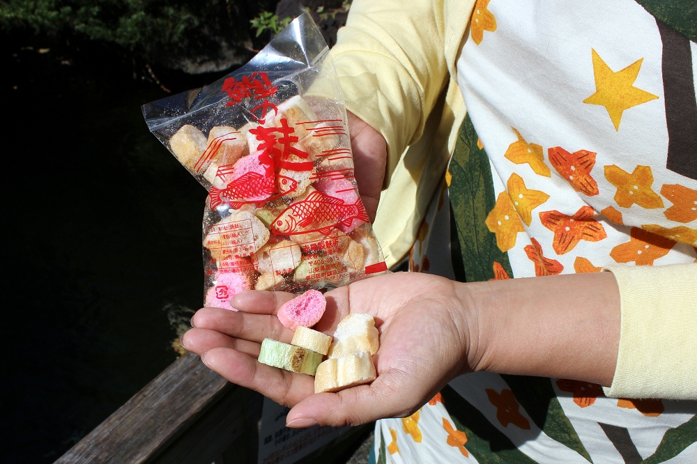 鯉のエサやりは1回(1袋)200円(税込み)。エサは専用の麩で、火曜日はお休み