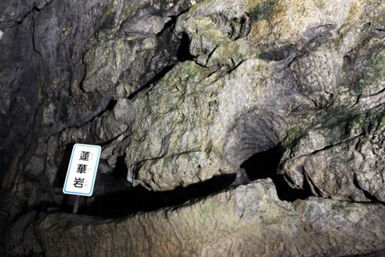 こちらは「蓮華岩」。天井の岩が蓮の花や葉のような模様をしている