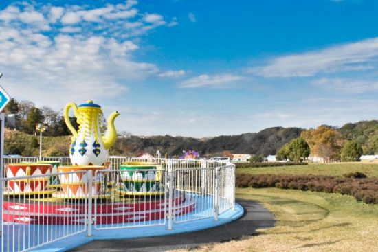 カラフルな「リトルティーカップ」