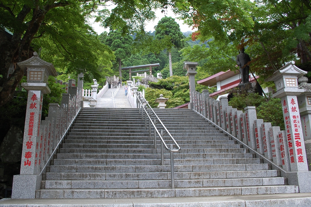 境内に入るや、目の前にあらわれる阿夫利神社までの石段。気が遠くなるような石段の数...