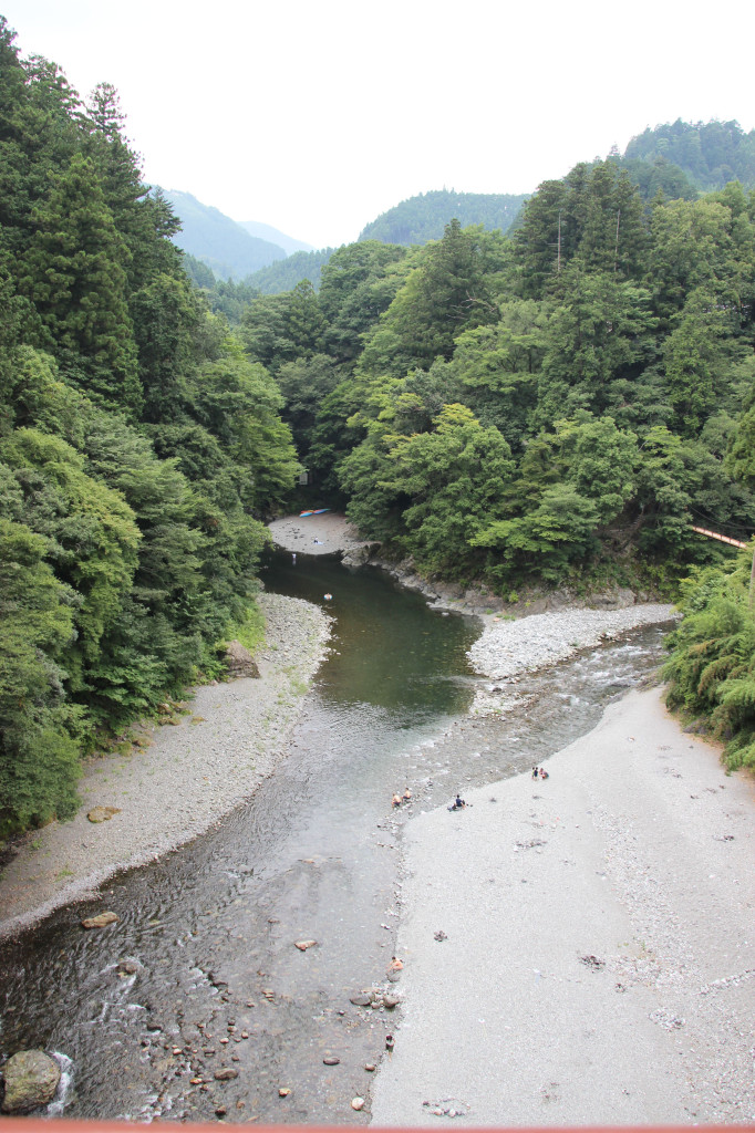 氷川キャンプ場すぐ側の「昭和橋」から眺める多摩川