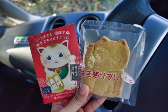 かわいい招き猫サブレ