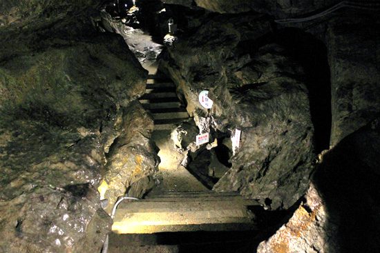 階段がある箇所も多い。足元に気を付けて進もう