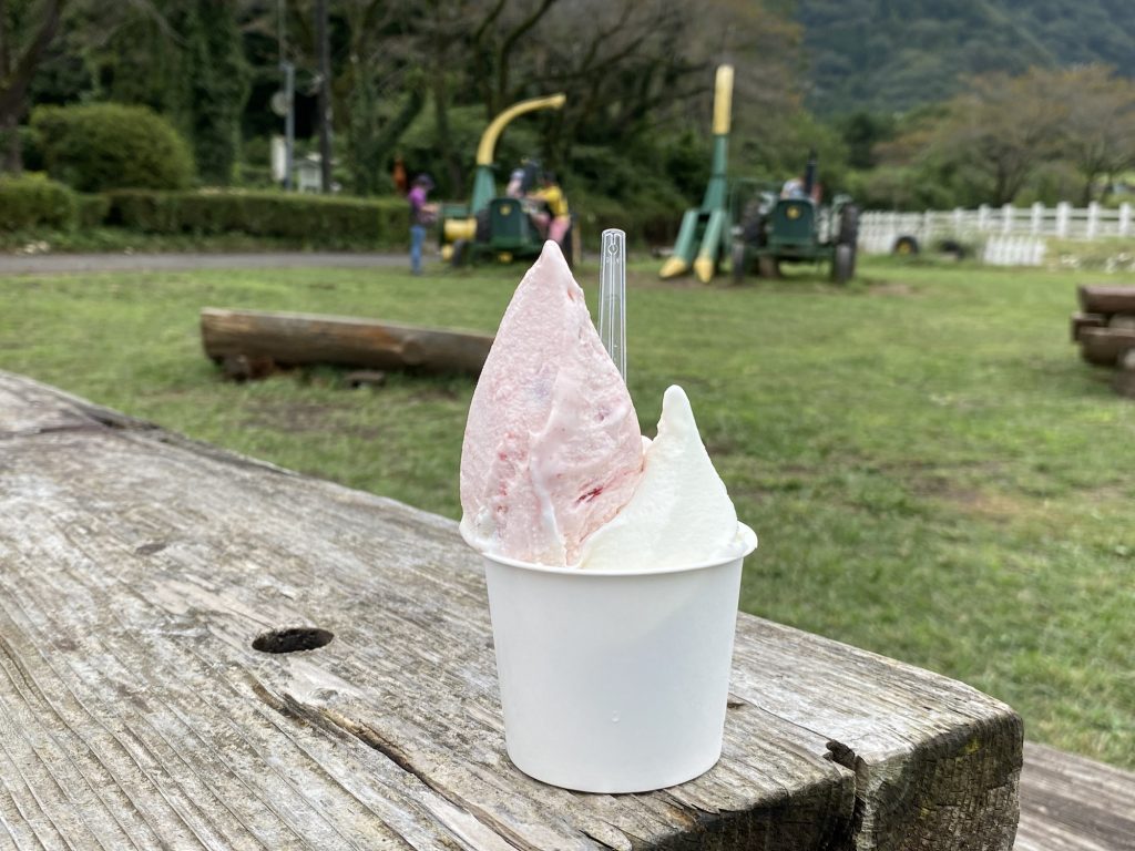 リッチミルクといちごミルクのイタリアンジェラートのダブル780円(税込み)