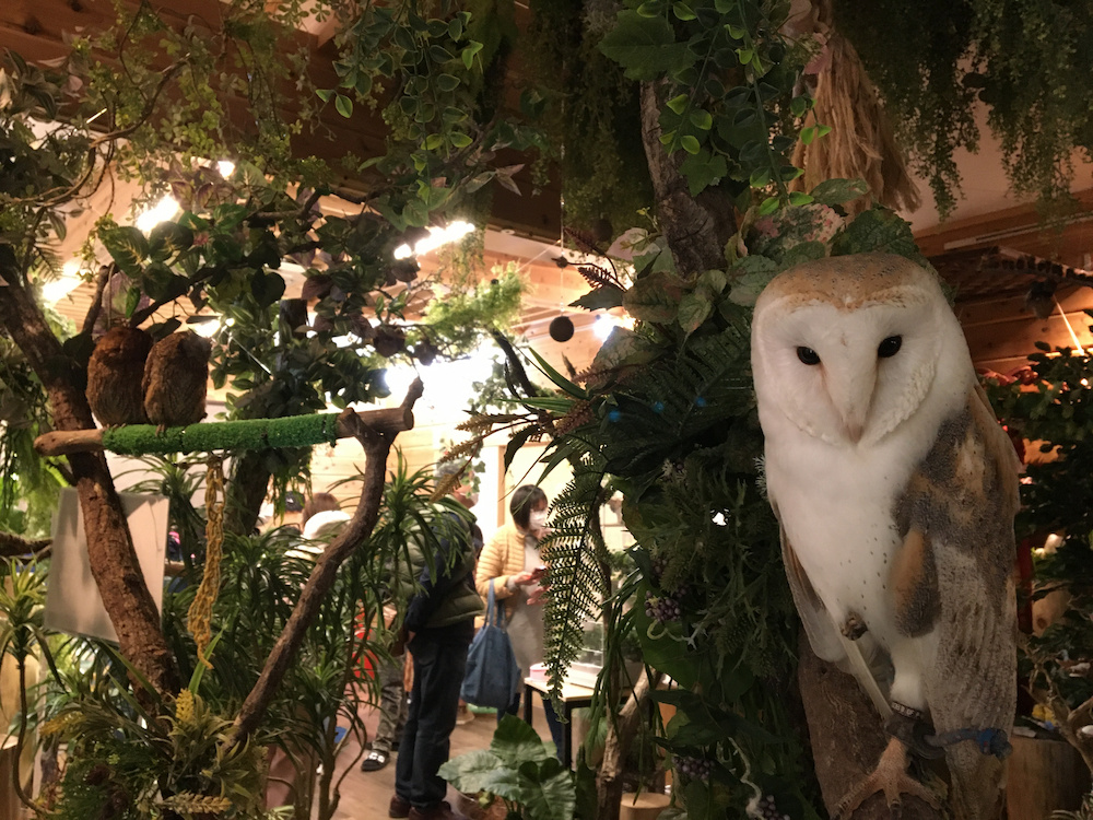  フクロウエリアは薄暗く、まるで森の中にいるような雰囲気 