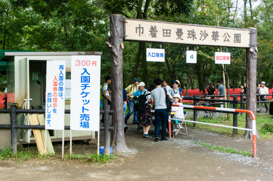 曼珠沙華の開花時期のみ入園料300円がかかる。1日有効で何度も再入場可