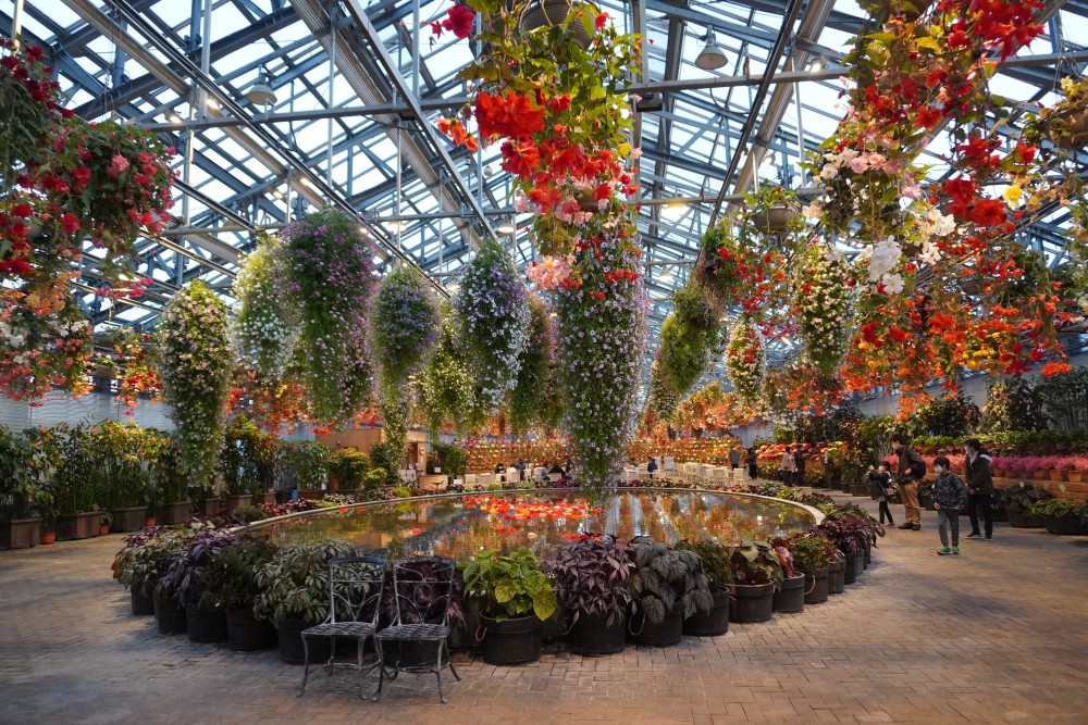 見返りの花は、フォトスポットとしてもおすすめ