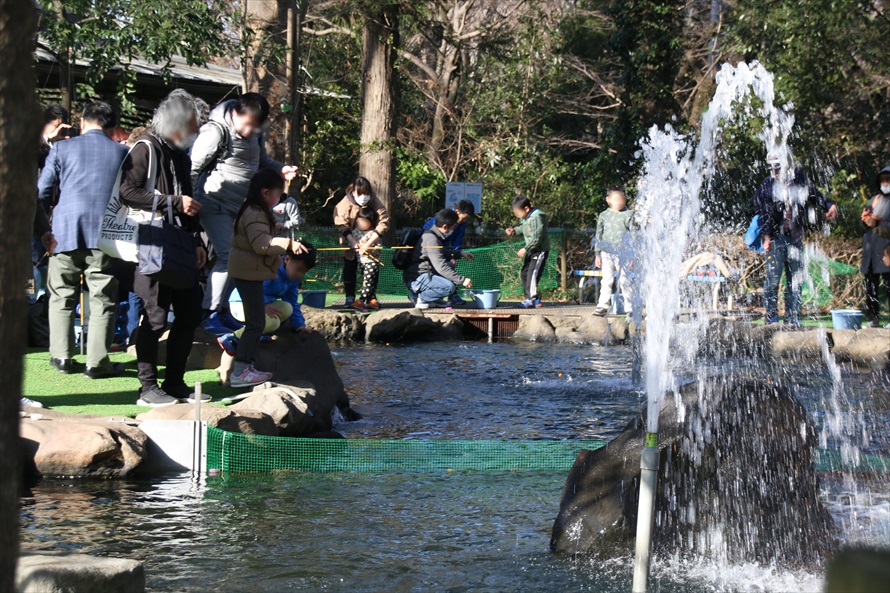 竿のレンタルは1本200円、釣れたニジマスは1尾400円で買い取りできる