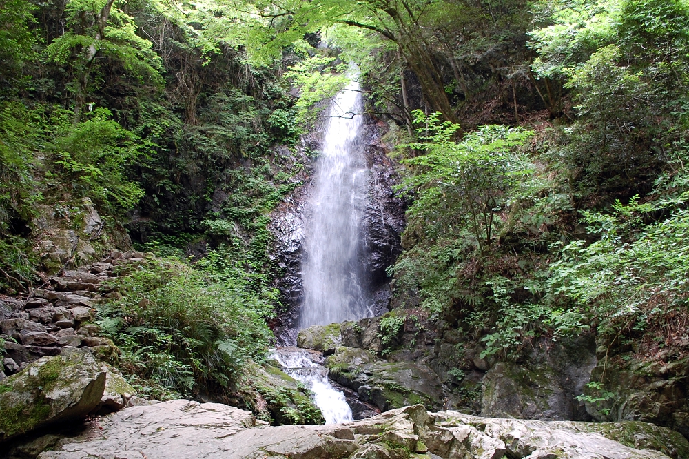 険しい岩肌と深い緑に覆われた払沢の滝