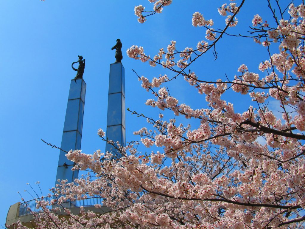 春先には満開の桜の元、お花見も楽しめる