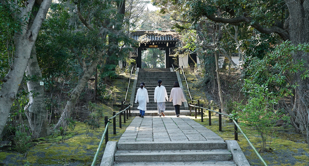 京都御所にゆかりのある高麗門「聖門」