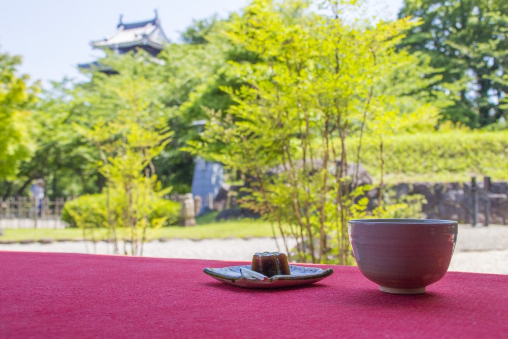 美しい庭園を眺めながら西尾の抹茶をいただく(一服 税込み450円、季節の和菓子付き)