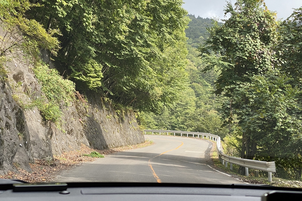 中禅寺湖を出発し、「第一いろは坂」を下って日光の市街地へ向かう