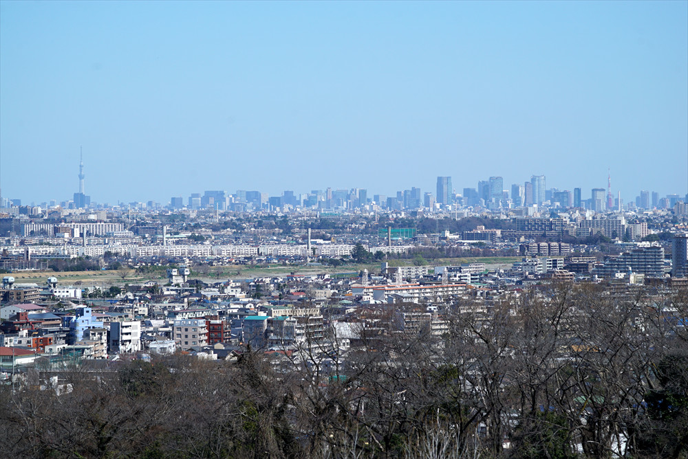 都心の高層ビル群まで見渡せる「空見の丘」からの景色