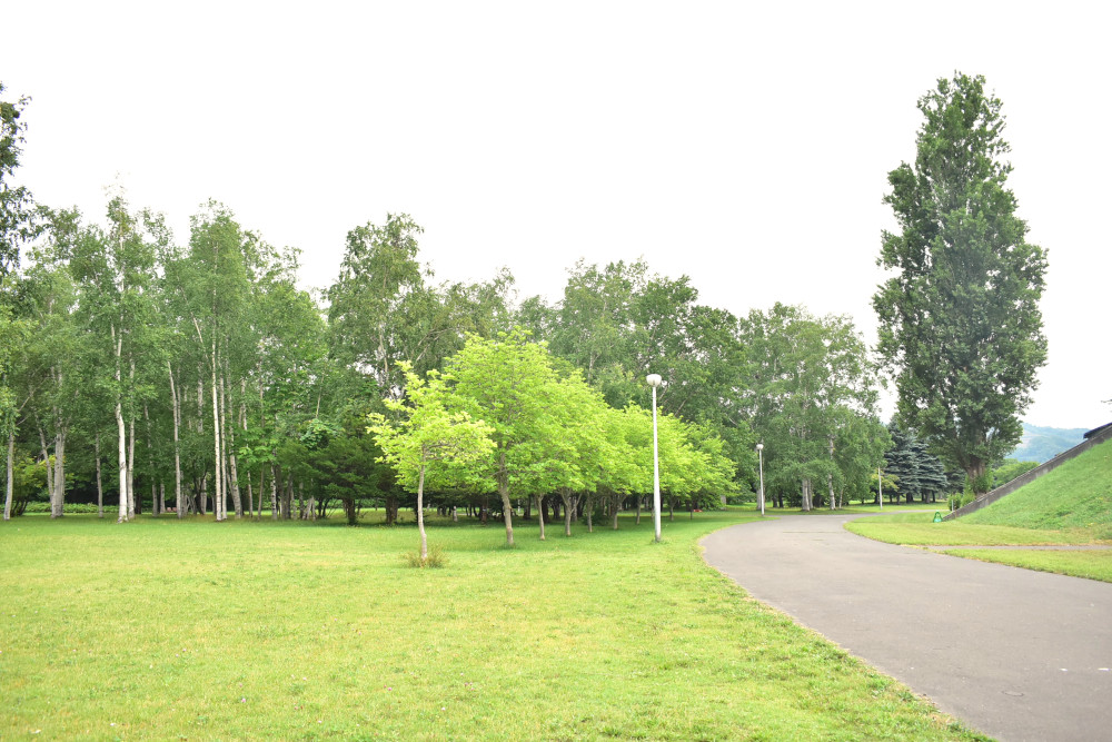 広々とした真駒内公園は、時間を忘れてのんびりできる