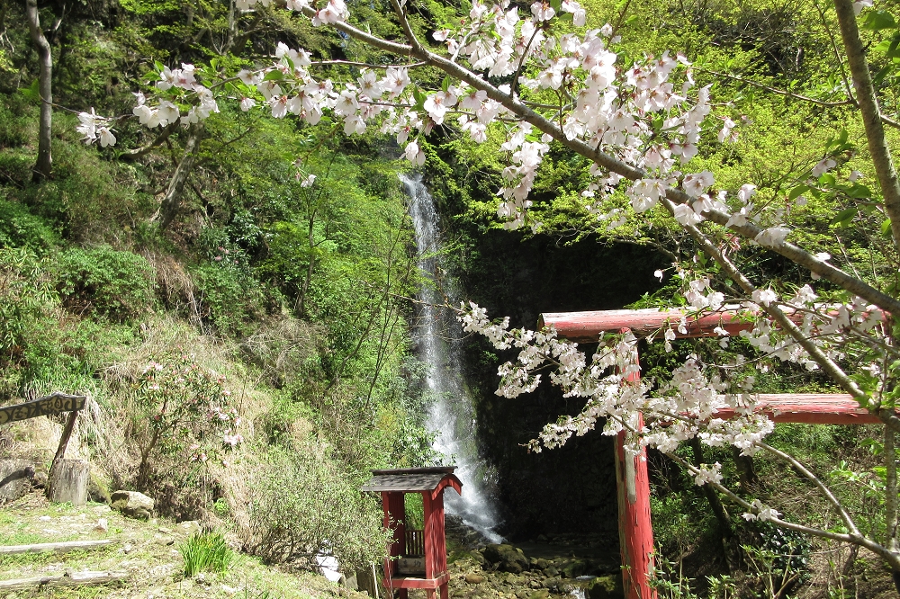 金神の滝は発見からまだ間もなく、養老渓谷の新しいスポットとして知られつつある