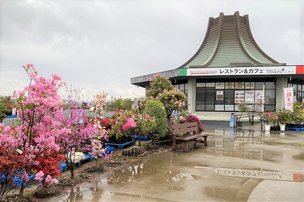 「レストラン&カフェ とっチーノ」では緑花木市場や芝生広場など、色彩豊かな光景を見渡しながら食事が楽しめる