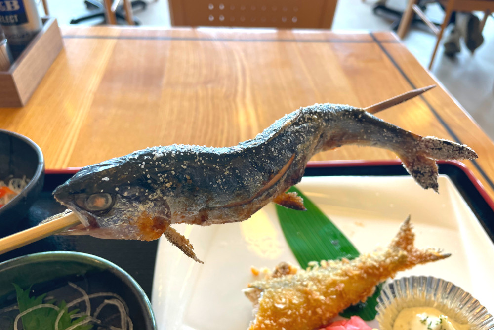振り塩がちょうど良い絶品の塩焼き