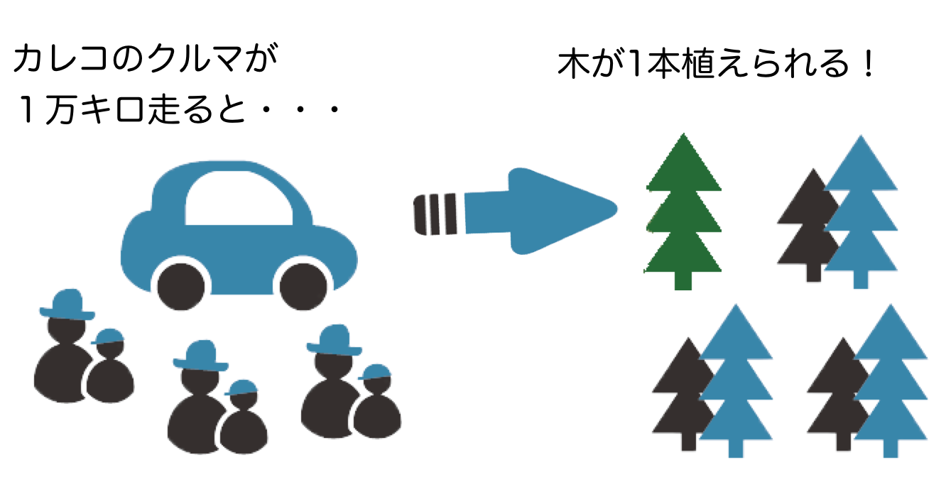 カレコのクルマが1万キロ走ると木が1本増える