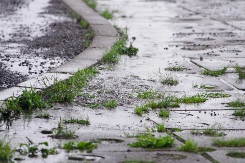 クルマに乗ろうとしたら豪雨・・・