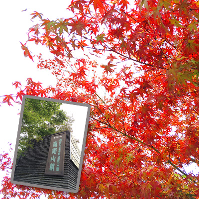 高尾山山頂では紅葉が始まっていた