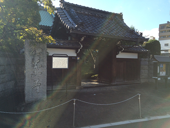 「金剛寺」の門前にカエデが見える