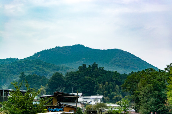巾着田をのぞむ日和田山の上からは、まさに巾着の形が見られるという
