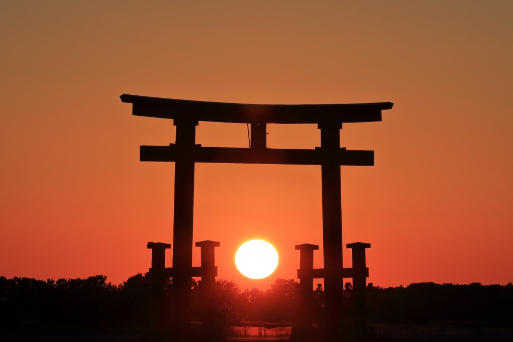 冬の期間限定で見られる貴重な景色