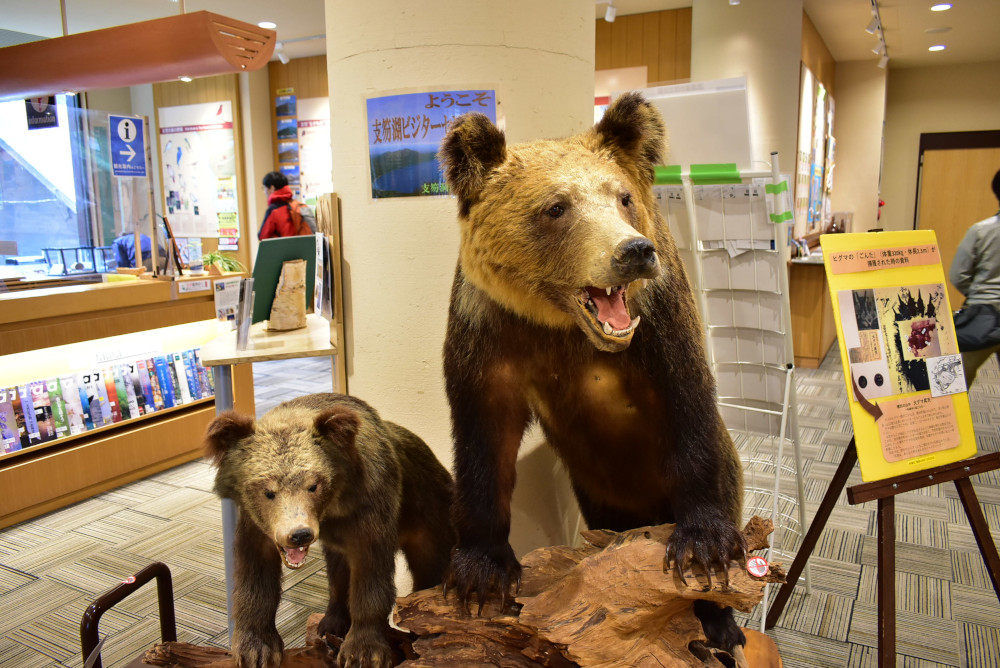 入口では、フクロウがお出迎え。こちらには2頭のヒグマたちも